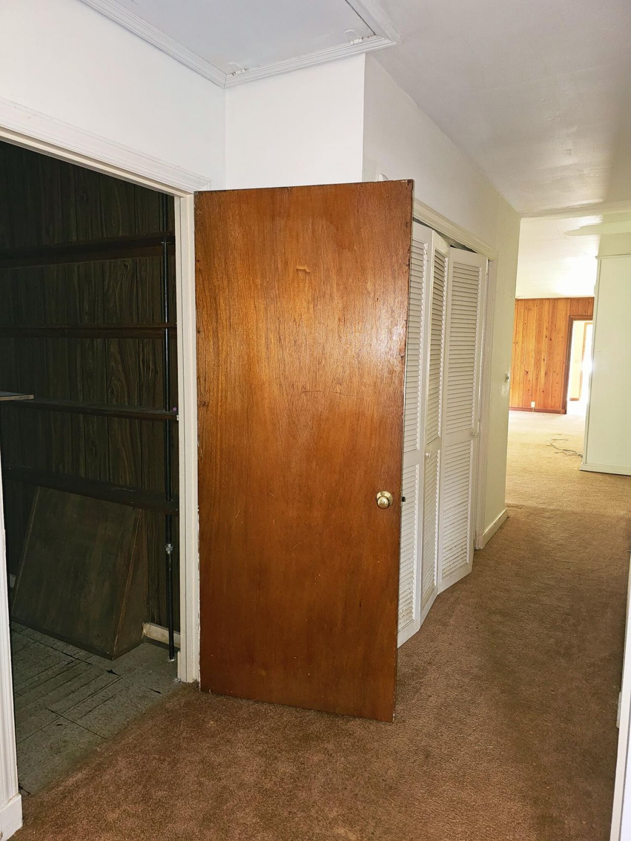 213 Maner Drive Photo 28