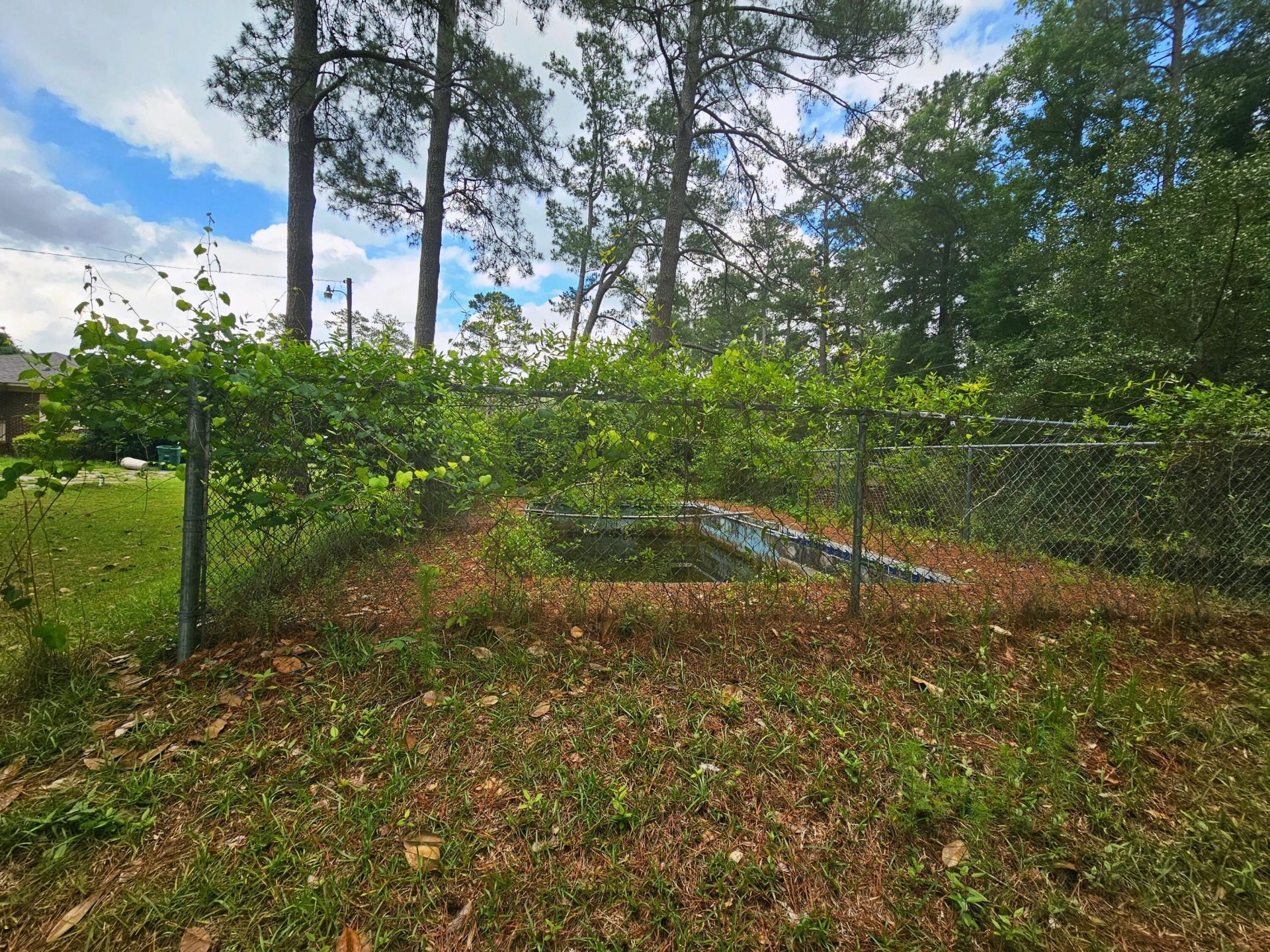 213 Maner Drive Photo 38