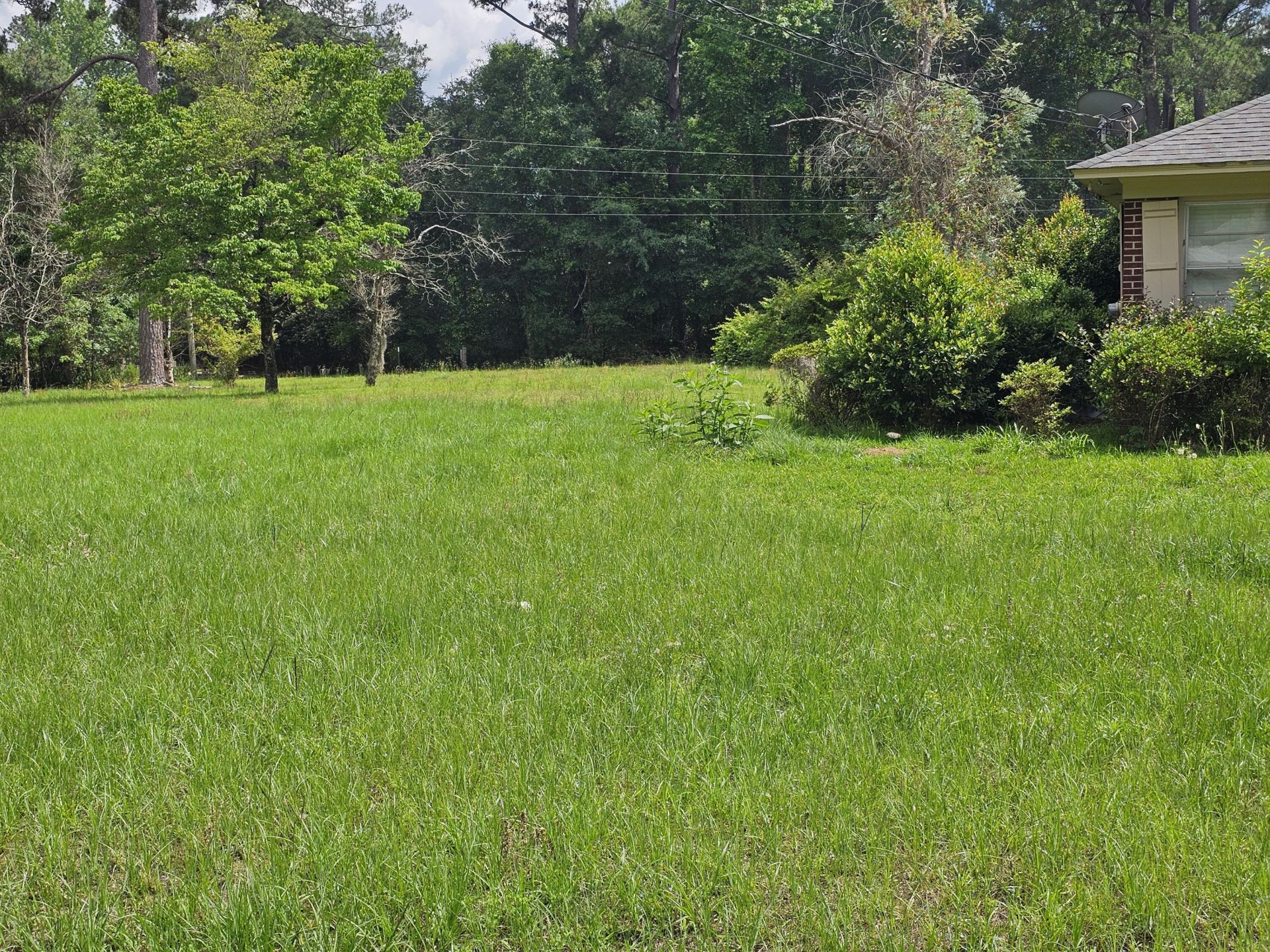 213 Maner Drive Photo 4