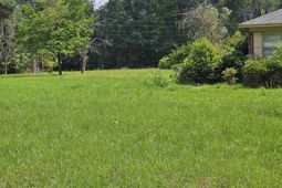 213 Maner Drive photo 4
