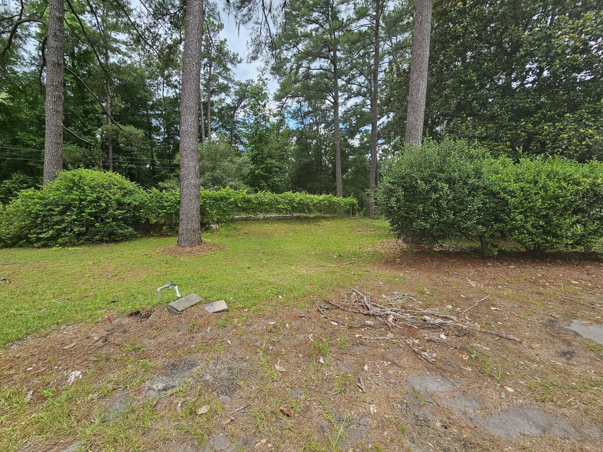 213 Maner Drive Photo 41
