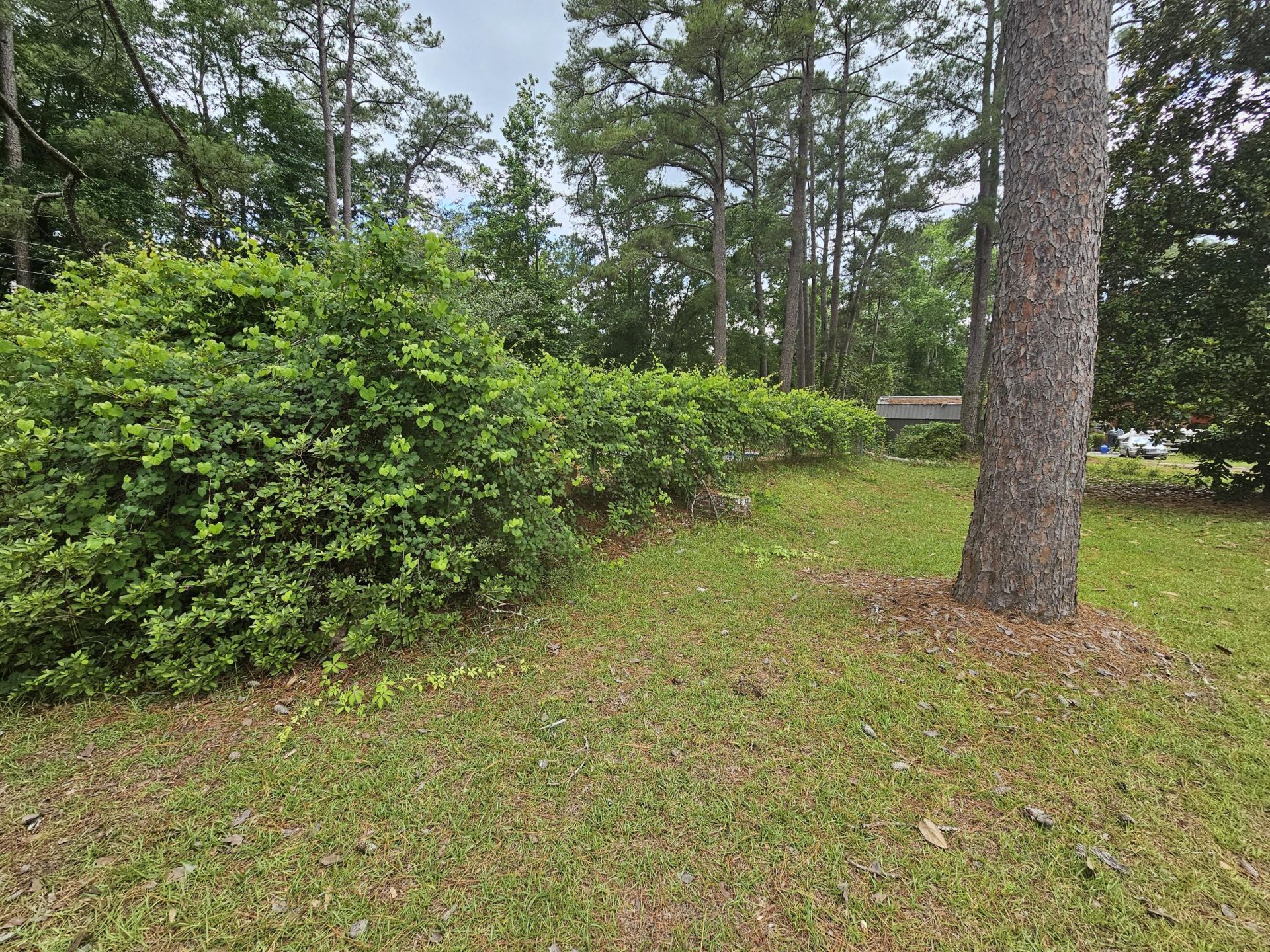 213 Maner Drive Photo 42
