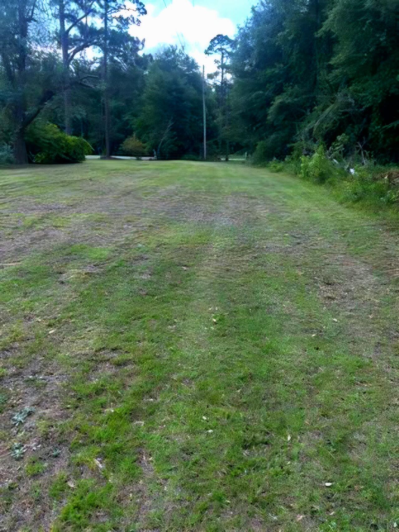 213 Maner Drive Photo 47