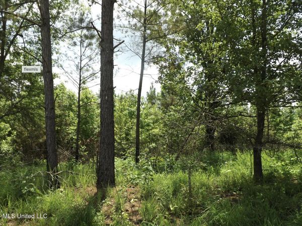Randletown Road, Lexington, MS 39095