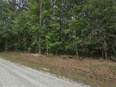 000 Drew Hill Ct., Cottageville, SC 29435