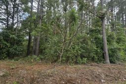 000 Drew Hill Ct. photo 4