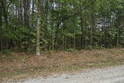 000 Drew Hill Ct. photo 4