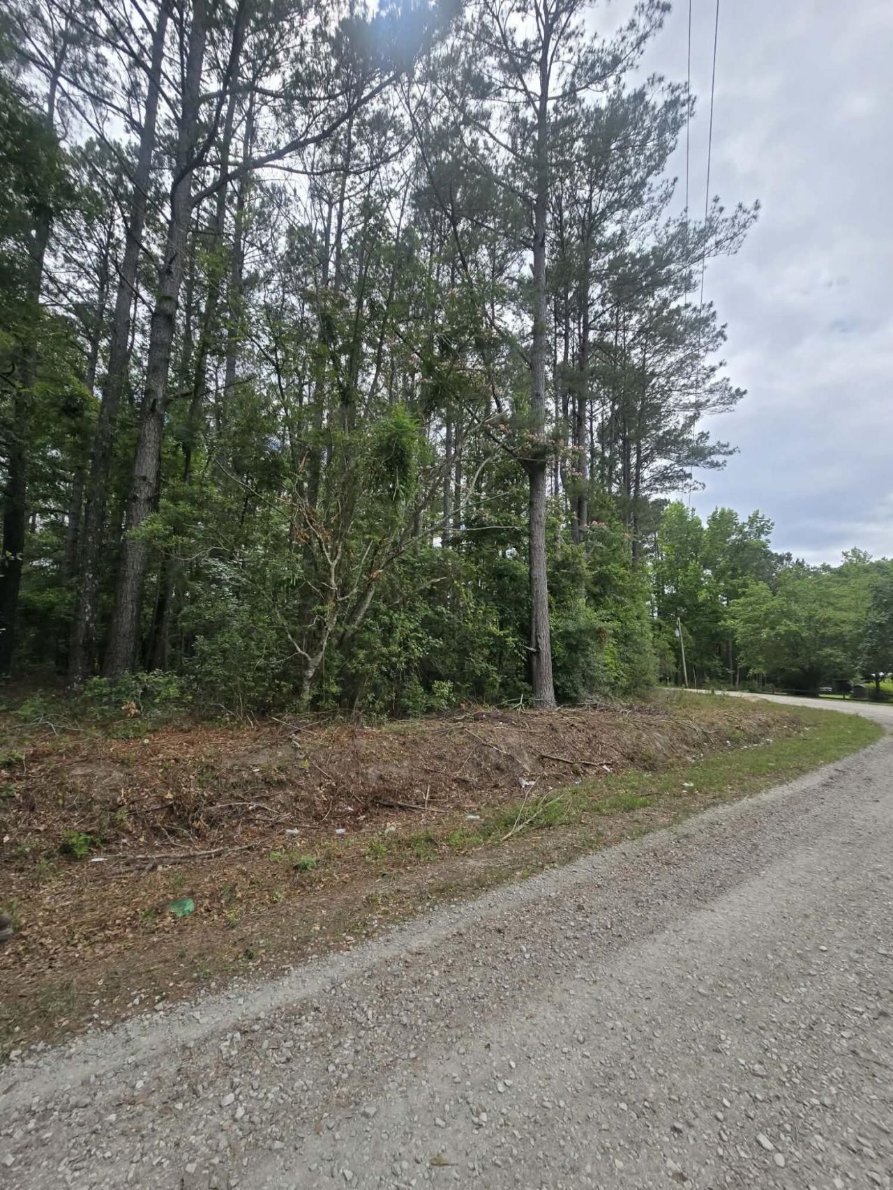 000 Drew Hill Ct. Photo 4
