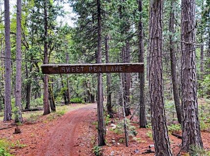 Texas Hill Rd, Emigrant Gap, CA 95715 Photo