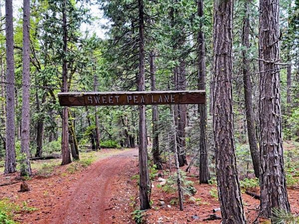 Texas Hill Rd, Emigrant Gap, CA 95715