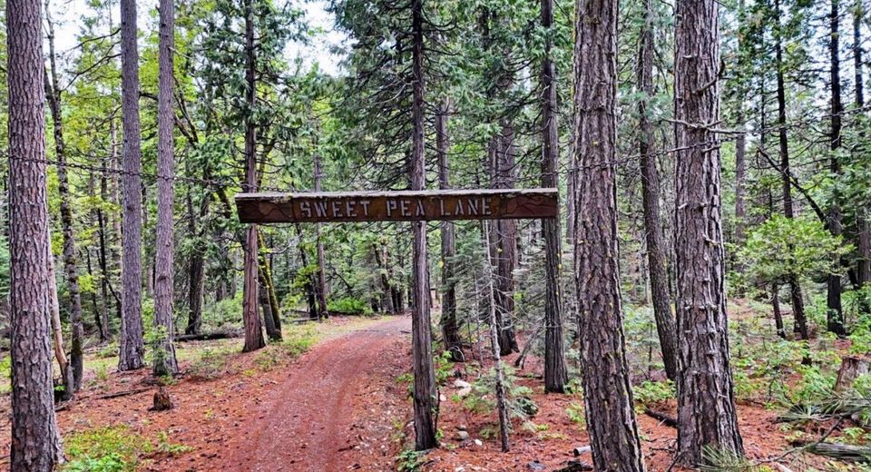 Texas Hill Rd, Emigrant Gap, CA 95715 Photo