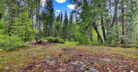 Texas Hill Rd, Emigrant Gap, CA 95715 Photo