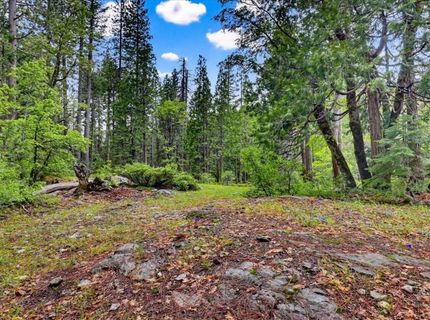 Texas Hill Rd, Emigrant Gap, CA 95715 Photo