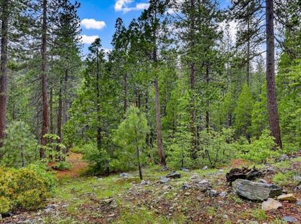 Texas Hill Rd, Emigrant Gap, CA 95715 Photo