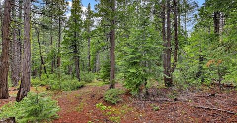 Texas Hill Rd, Emigrant Gap, CA 95715 Photo