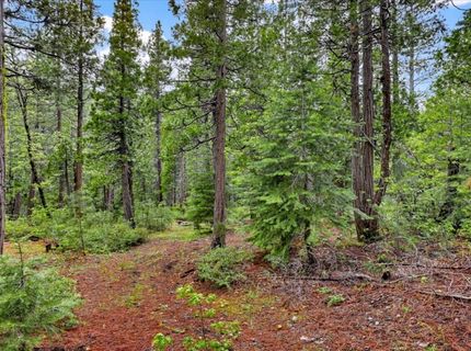 Texas Hill Rd, Emigrant Gap, CA 95715 Photo