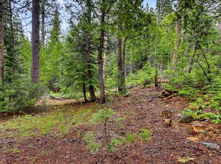 Texas Hill Rd, Emigrant Gap, CA 95715 Photo
