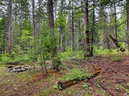 Texas Hill Rd, Emigrant Gap, CA 95715 Photo