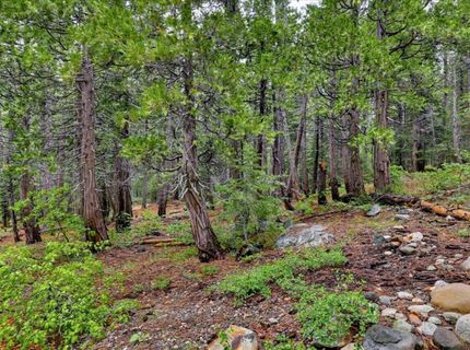 Texas Hill Rd, Emigrant Gap, CA 95715 Photo