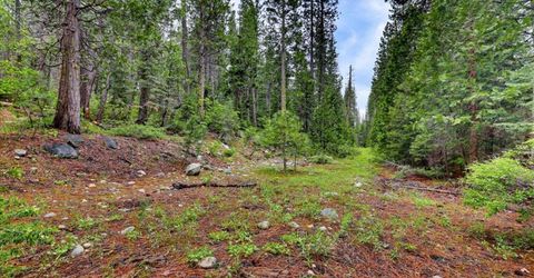 Texas Hill Rd, Emigrant Gap, CA 95715 Photo
