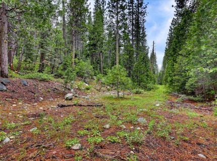 Texas Hill Rd, Emigrant Gap, CA 95715 Photo