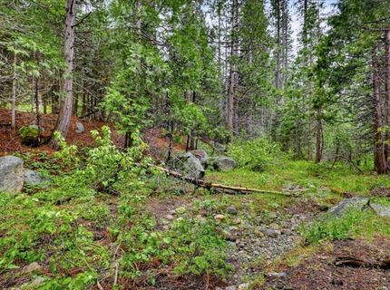 Texas Hill Rd, Emigrant Gap, CA 95715 Photo