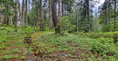 Texas Hill Rd, Emigrant Gap, CA 95715 Photo