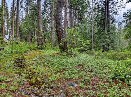 Texas Hill Rd, Emigrant Gap, CA 95715 Photo