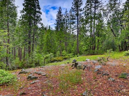 Texas Hill Rd, Emigrant Gap, CA 95715 Photo