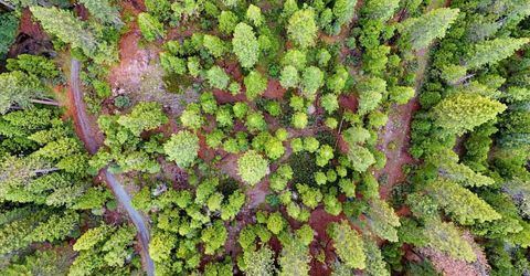 Texas Hill Rd, Emigrant Gap, CA 95715 Photo