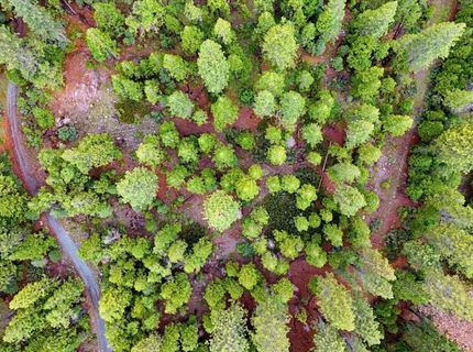 Texas Hill Rd, Emigrant Gap, CA 95715 Photo