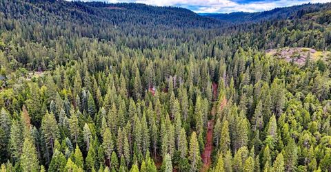 Texas Hill Rd, Emigrant Gap, CA 95715 Photo