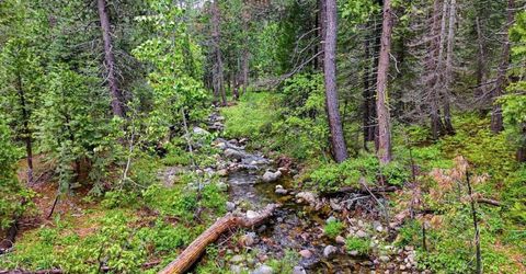 Texas Hill Rd, Emigrant Gap, CA 95715 Photo