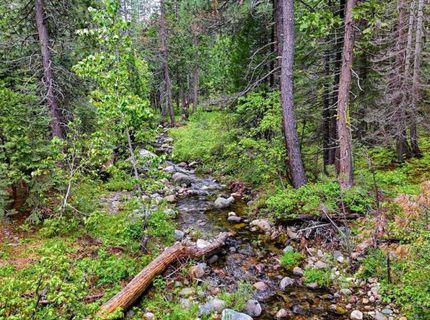 Texas Hill Rd, Emigrant Gap, CA 95715 Photo