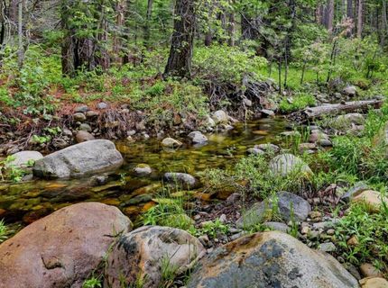 Texas Hill Rd, Emigrant Gap, CA 95715 Photo