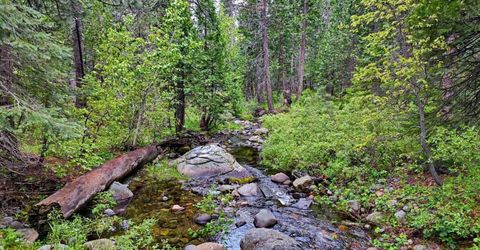 Texas Hill Rd, Emigrant Gap, CA 95715 Photo