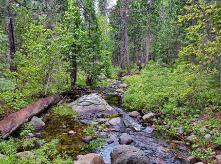 Texas Hill Rd, Emigrant Gap, CA 95715 Photo