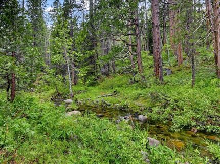 Texas Hill Rd, Emigrant Gap, CA 95715 Photo