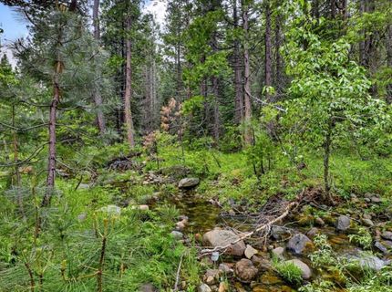 Texas Hill Rd, Emigrant Gap, CA 95715 Photo