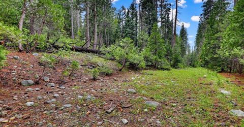 Texas Hill Rd, Emigrant Gap, CA 95715 Photo