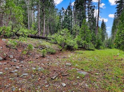 Texas Hill Rd, Emigrant Gap, CA 95715 Photo
