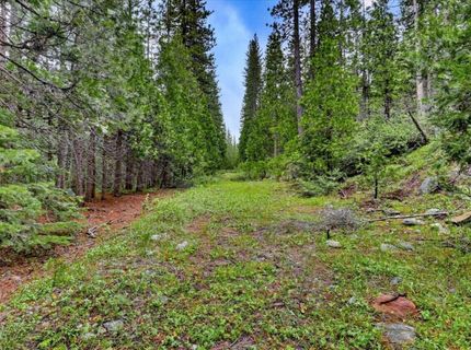 Texas Hill Rd, Emigrant Gap, CA 95715 Photo