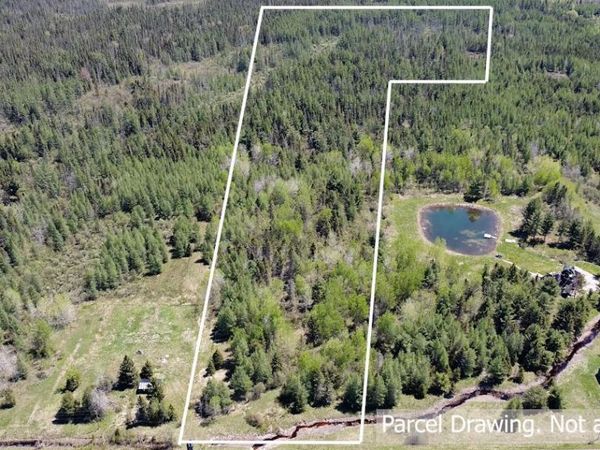 25 Acres S Johnson RD, Rudyard, MI 49780