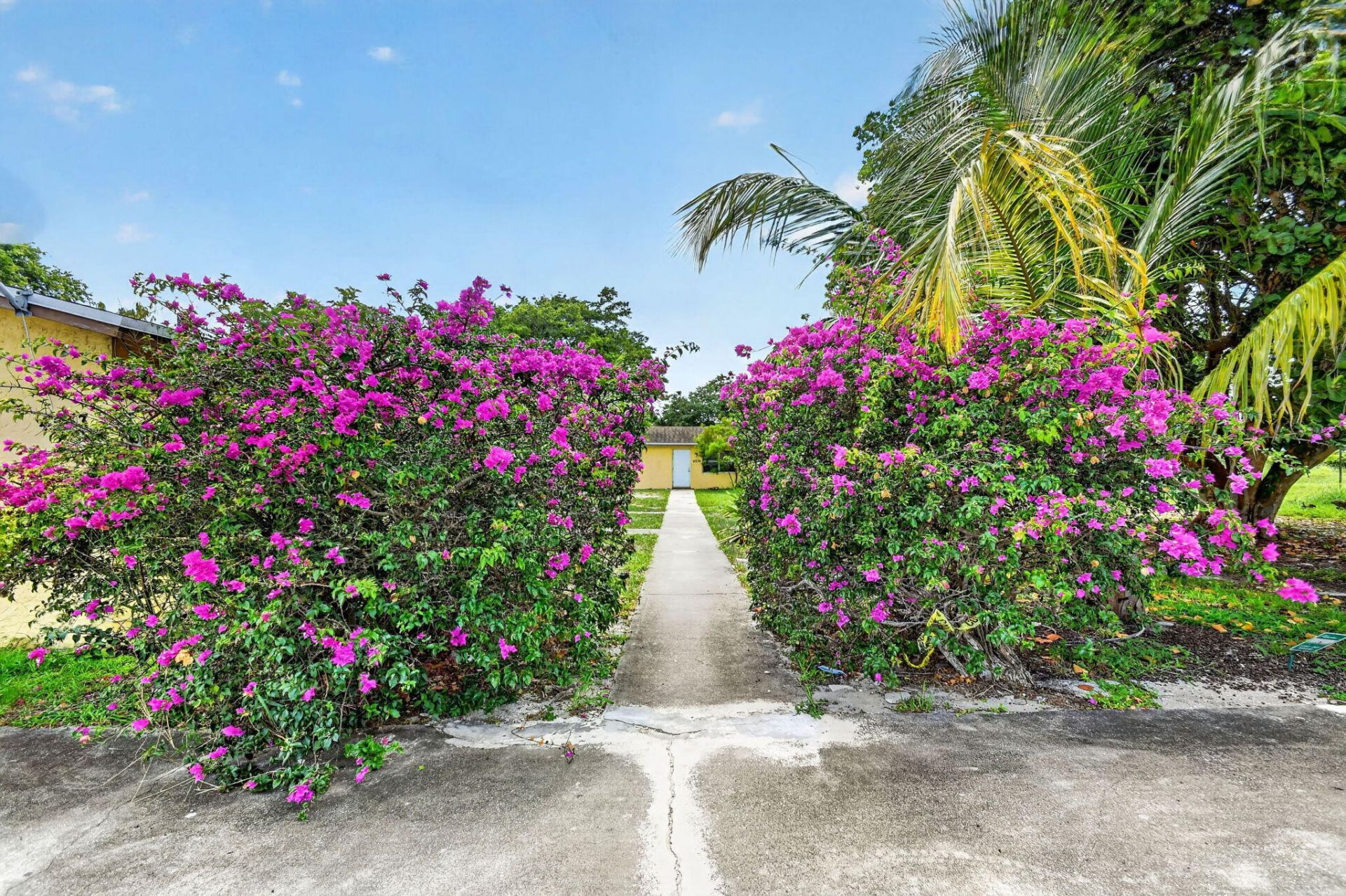4537 Coconut Road, Lake Worth, FL 33461 Photo