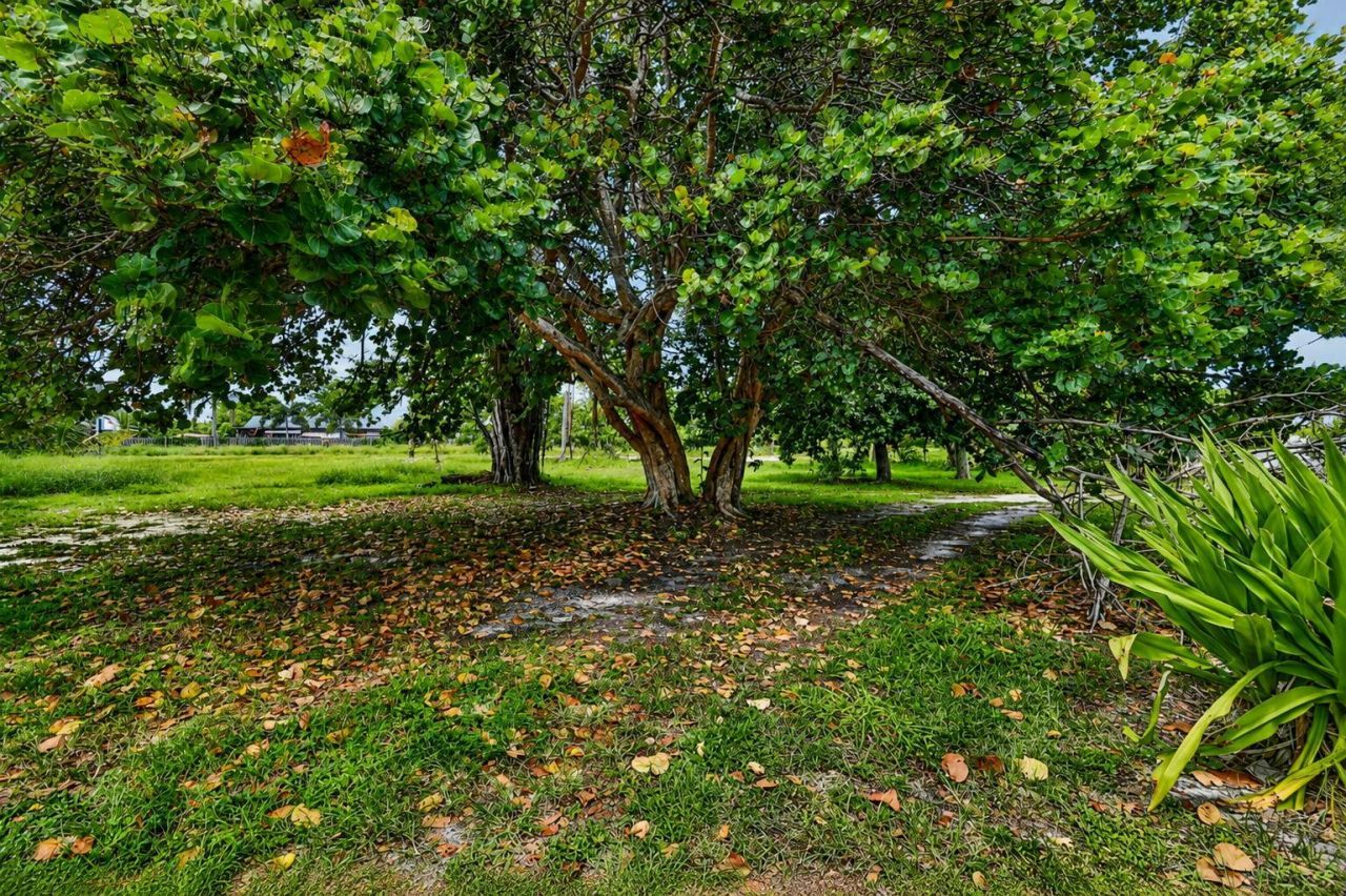 4537 Coconut Road, Lake Worth, FL 33461 Photo