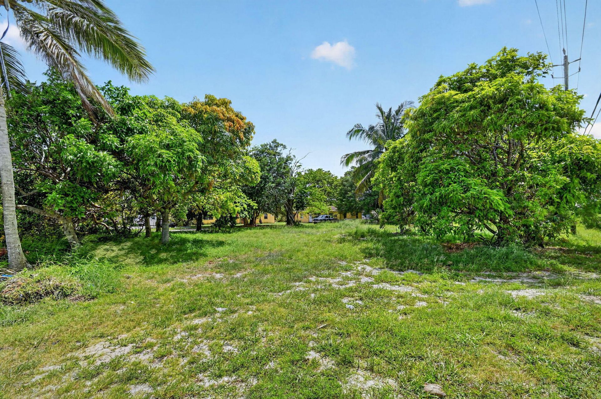 4537 Coconut Road, Lake Worth, FL 33461 Photo