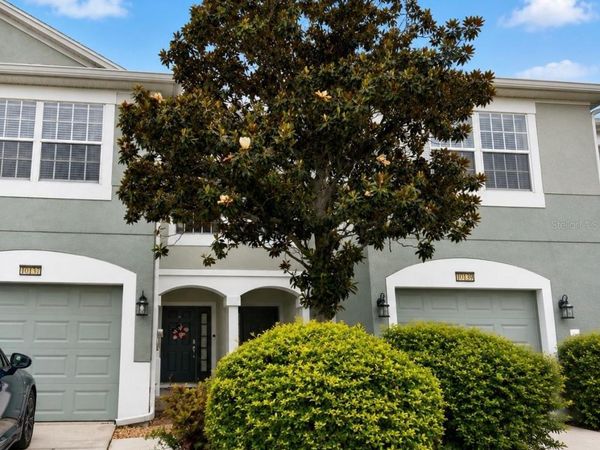 10137 PINK PALMATA COURT , RIVERVIEW, FL 33578