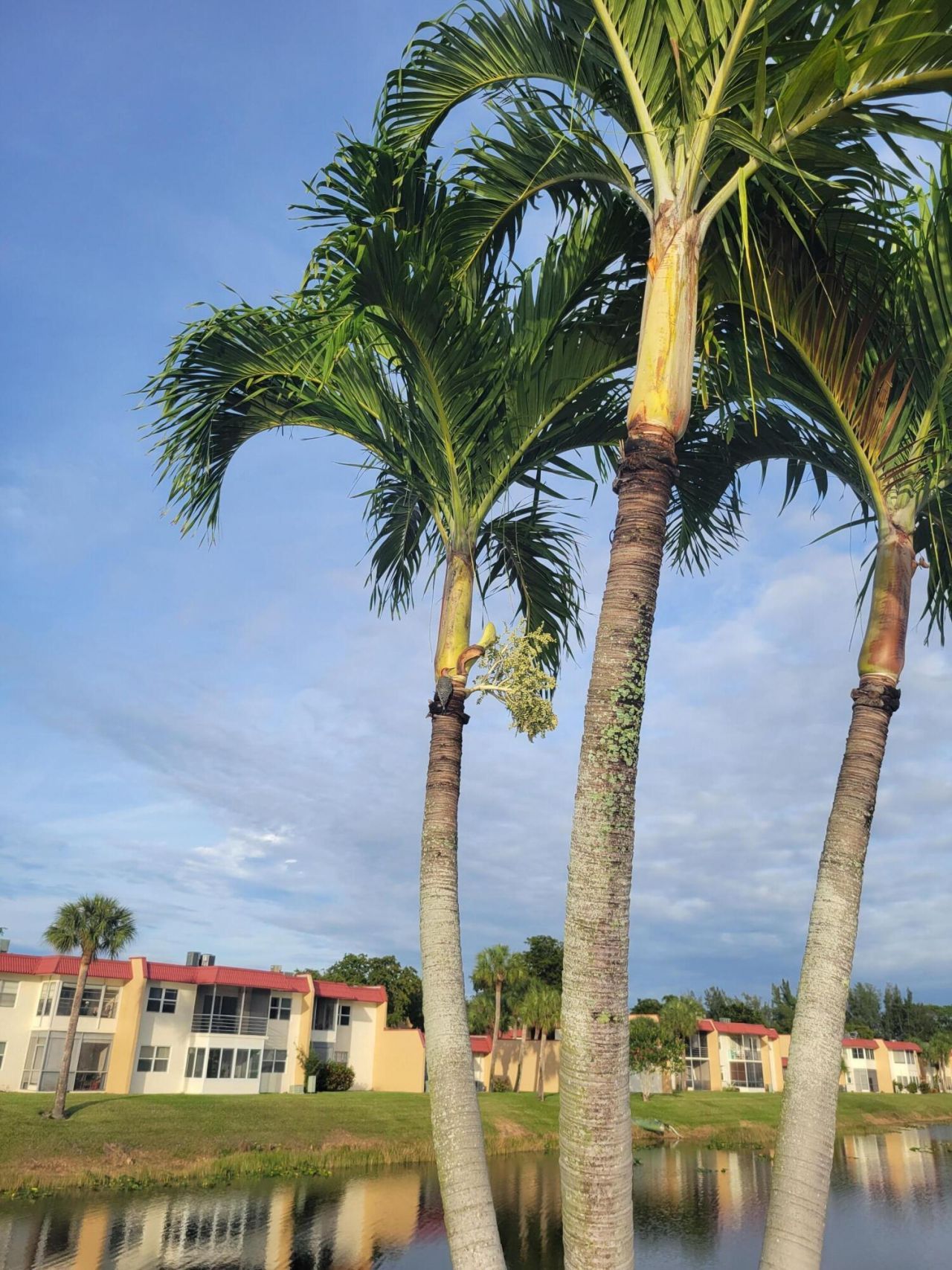 356 Lake Dora Drive, West Palm Beach, FL 33411 Photo