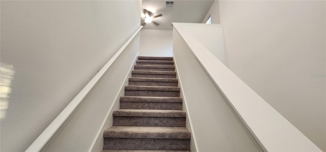 35077 Ackley Trace , Zephyrhills, FL 33541 Photo