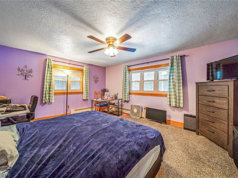 3832 Lake Road, Conneaut, OH 44030 Photo 15